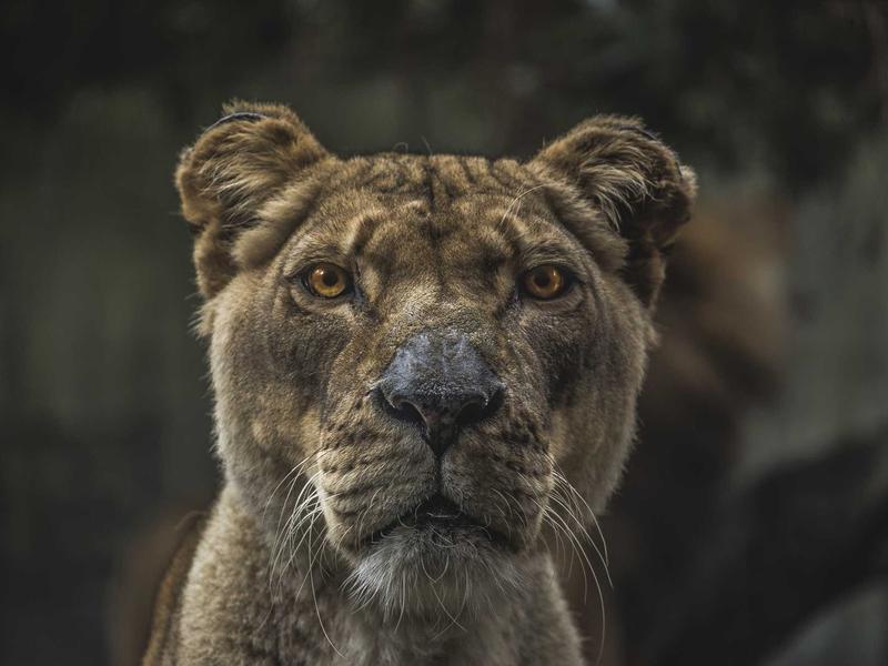 8868体育企业办公环境